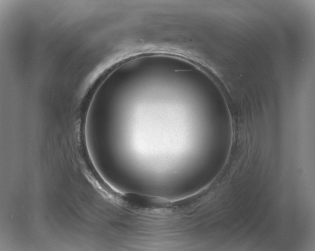 X0000081581503200701151229