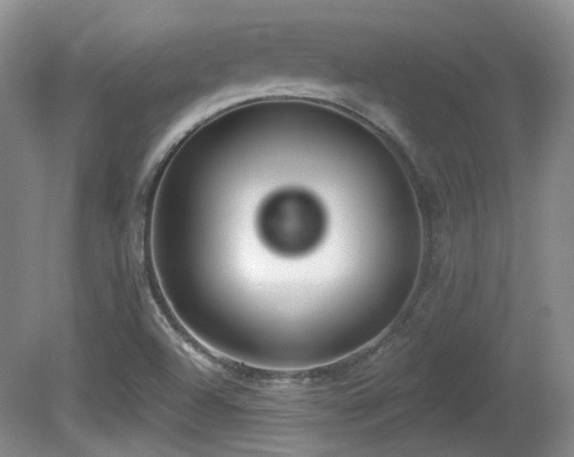 X0000081581504200701151229