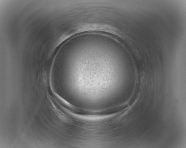 X0000081581505200701151229