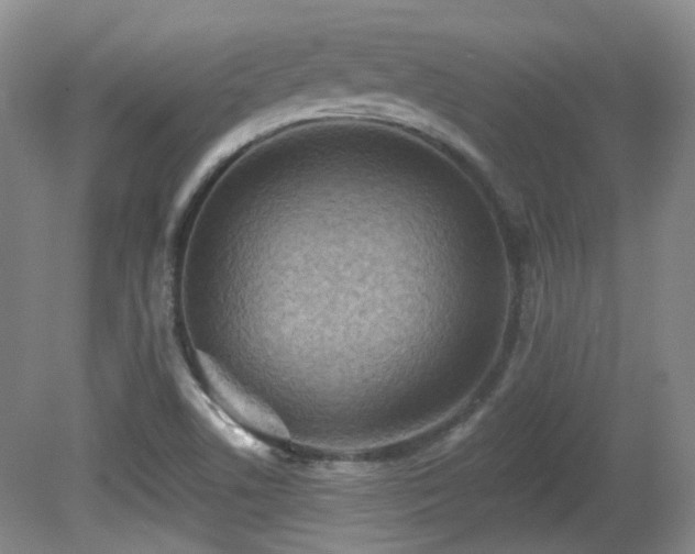 X0000081581506200701151229