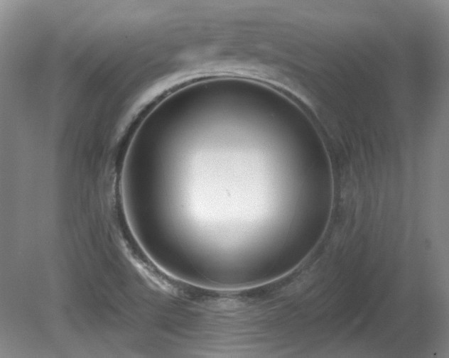 X0000081581507200701151229