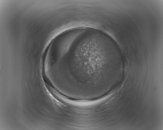 X0000081581508200701151229