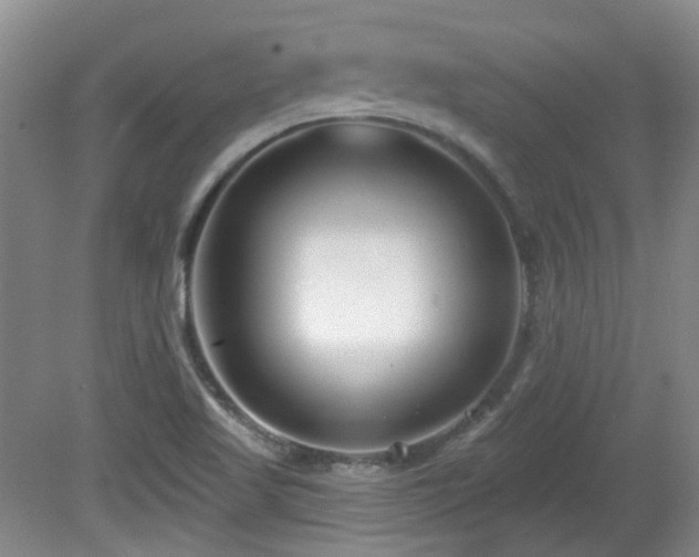 X0000081581509200701151229