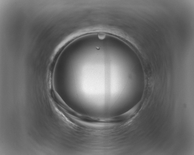 X0000081581510200701151229