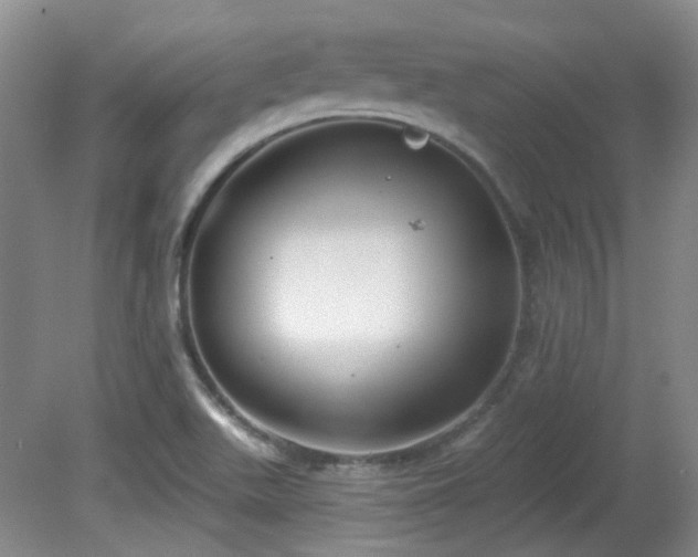 X0000081581511200701151229