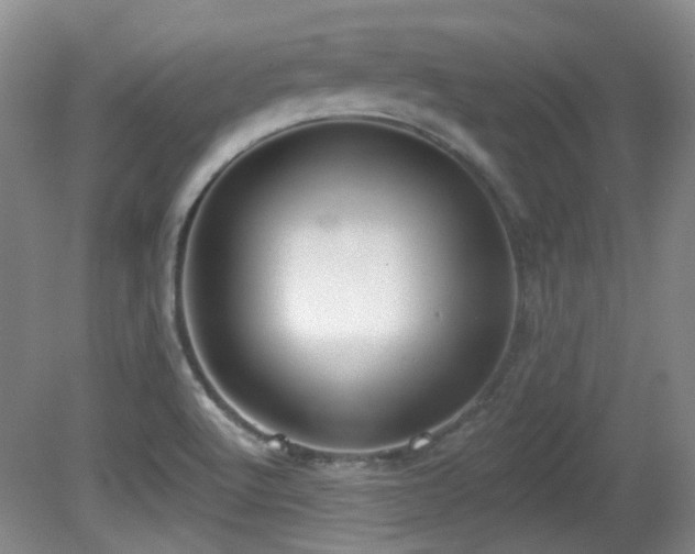 X0000081581512200701151229