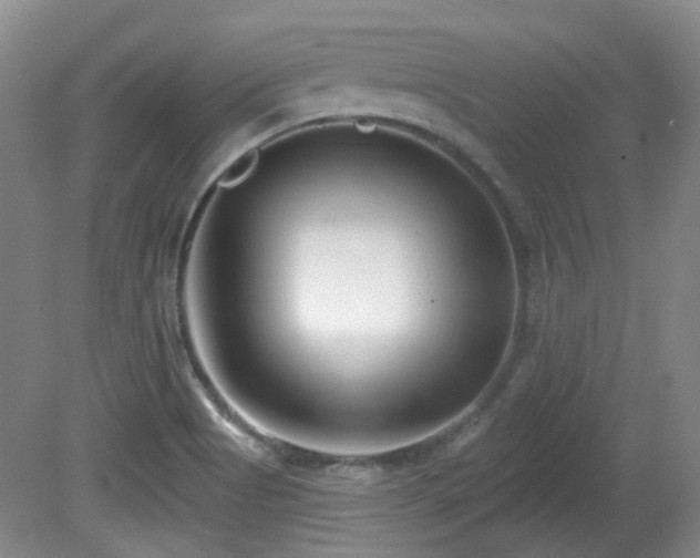 X0000081581513200701151229