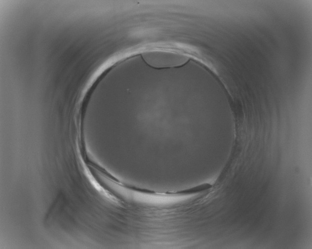 X0000081581515200701151229