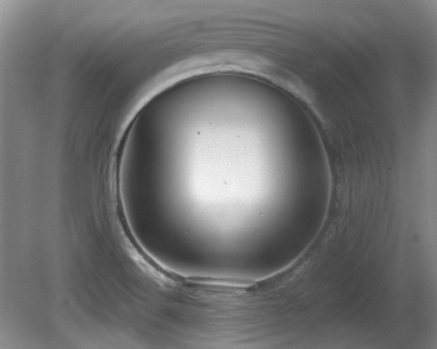 X0000081581516200701151229