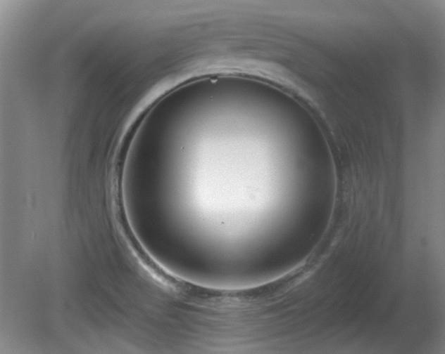 X0000081581517200701151229