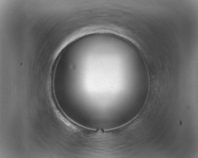 X0000081581518200701151229