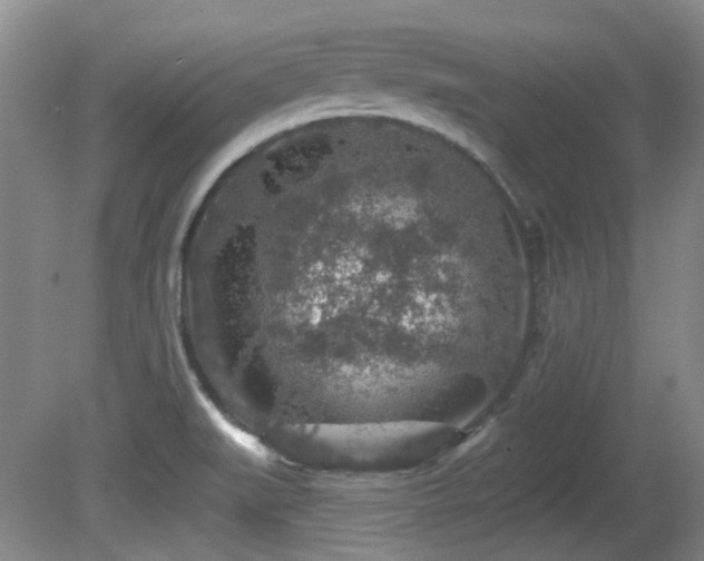 X0000081581519200701151229