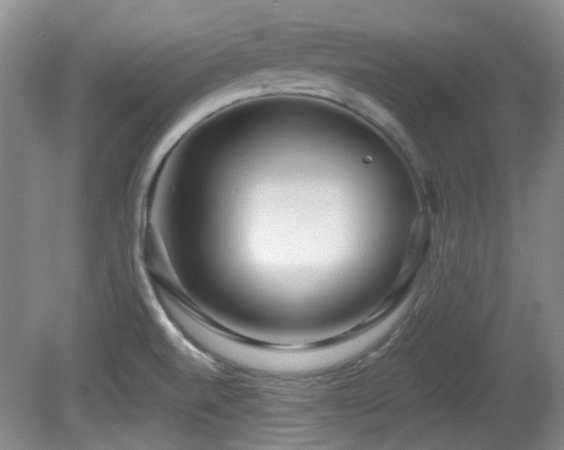 X0000081581520200701151229