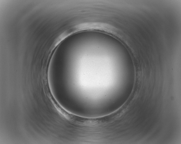 X0000081581521200701151229