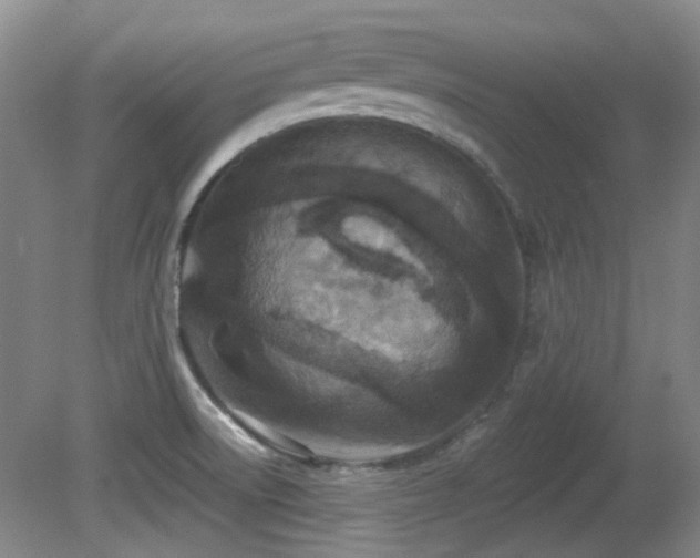 X0000081581522200701151229