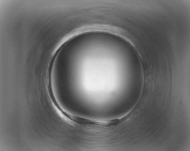 X0000081581523200701151229