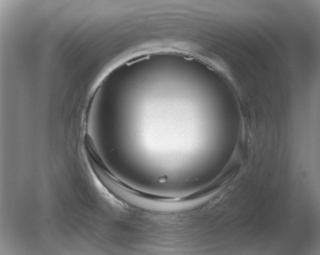 X0000081581524200701151229