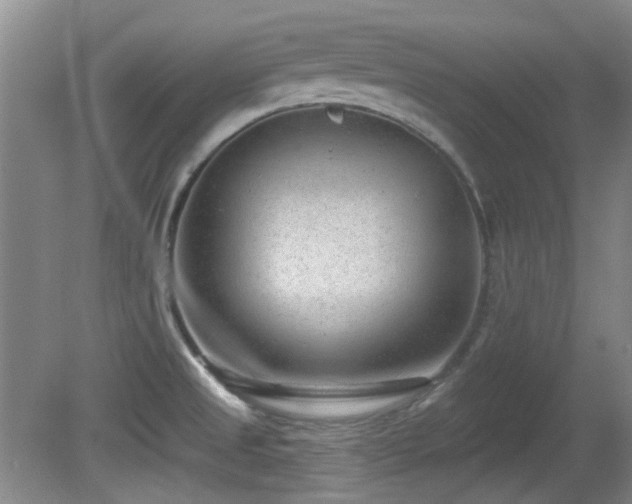 X0000081581525200701151229