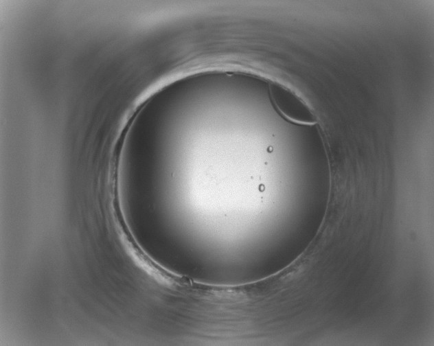 X0000081581526200701151229