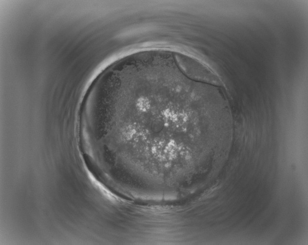 X0000081581527200701151230