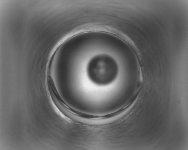 X0000081581528200701151230