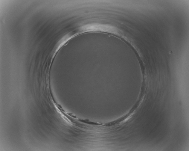 X0000081581529200701151230