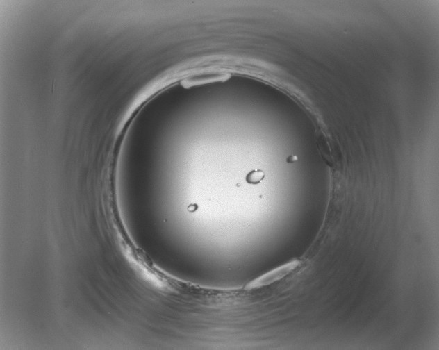 X0000081581530200701151230