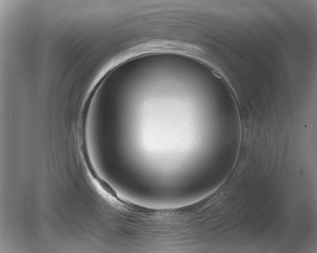 X0000081581531200701151230