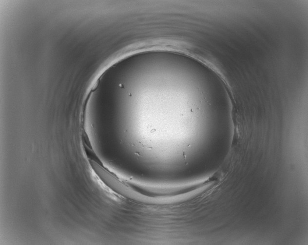 X0000081581532200701151230