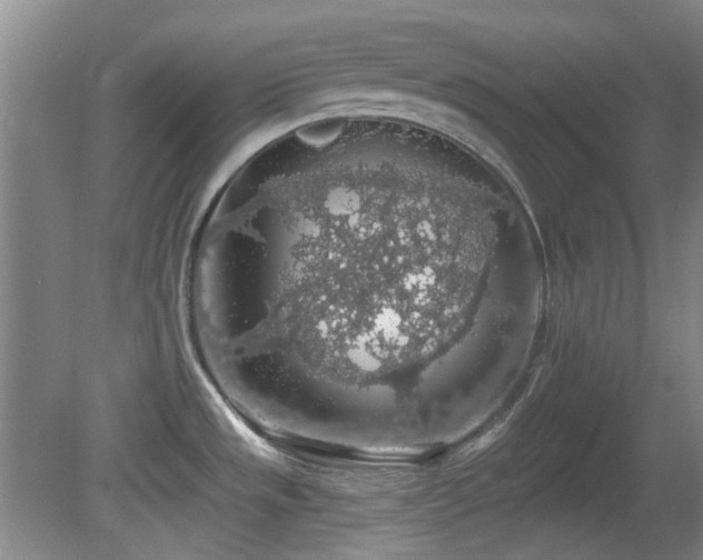 X0000081581533200701151230