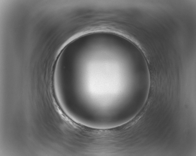 X0000081581534200701151230