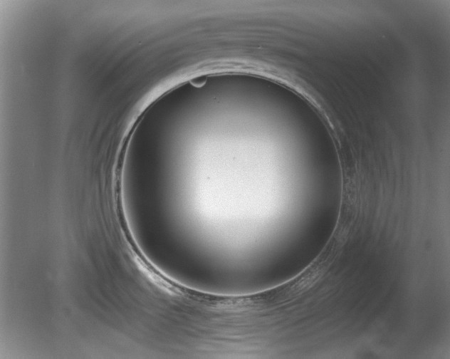 X0000081581535200701151230