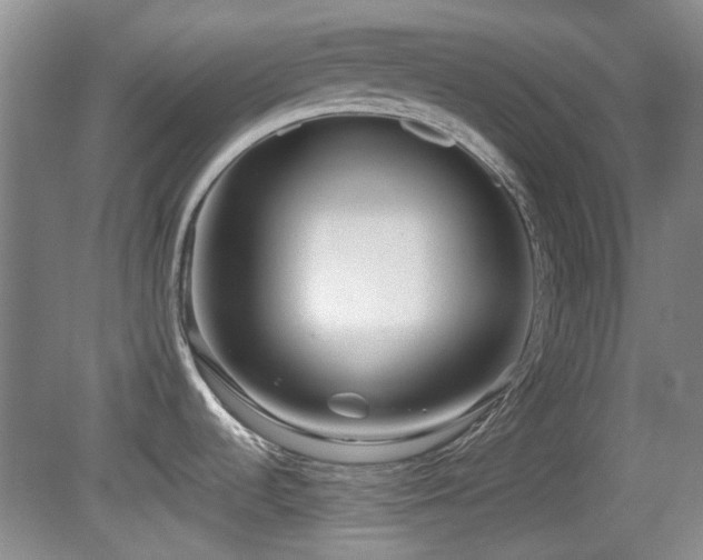 X0000081581536200701151230