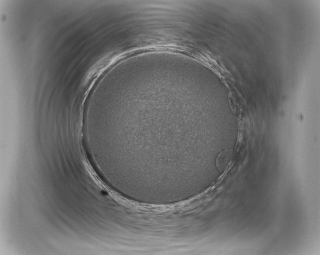 X0000081580002200701221039