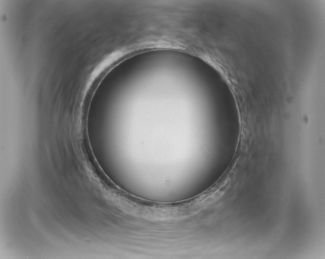 X0000081580008200701221039