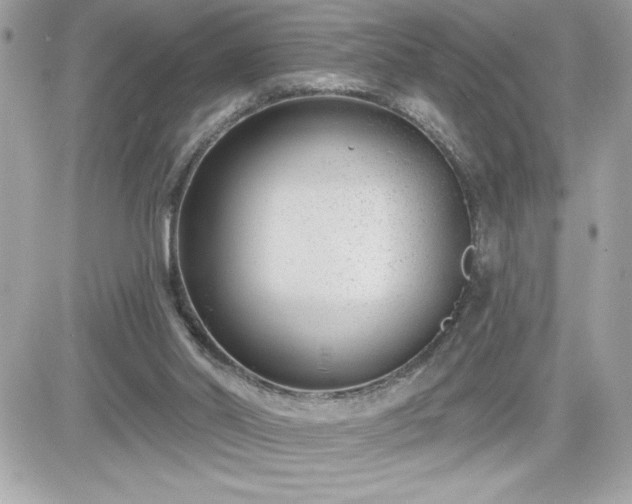 X0000081580014200701221039