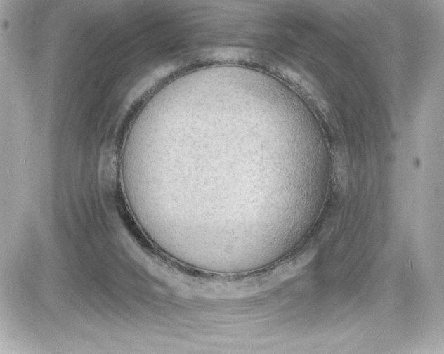 X0000081580016200701221039