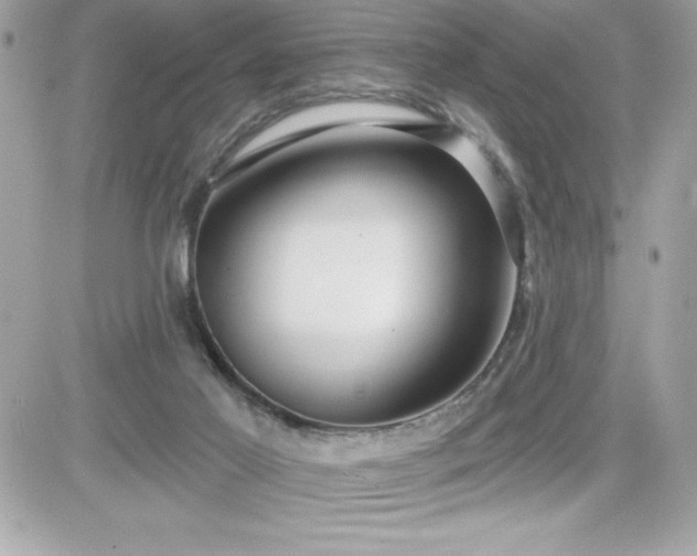 X0000081580021200701221039