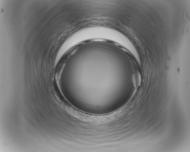 X0000081580031200701221039