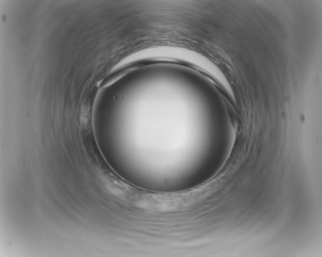 X0000081580033200701221039