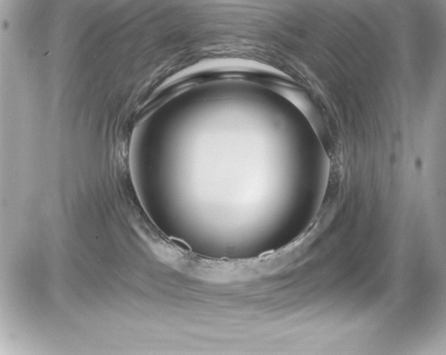 X0000081580045200701221039