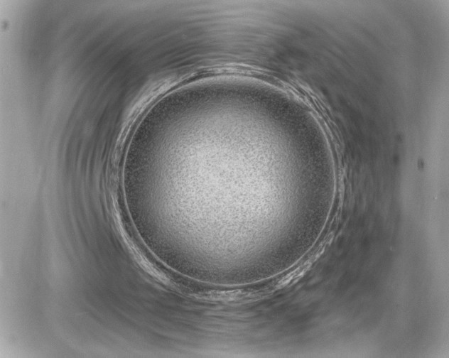 X0000081580049200701221038