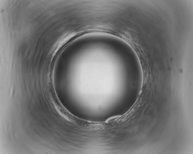 X0000081580050200701221038