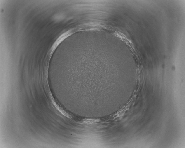 X0000081580051200701221038