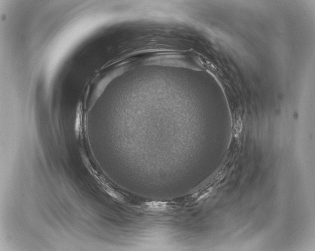 X0000081580052200701221038