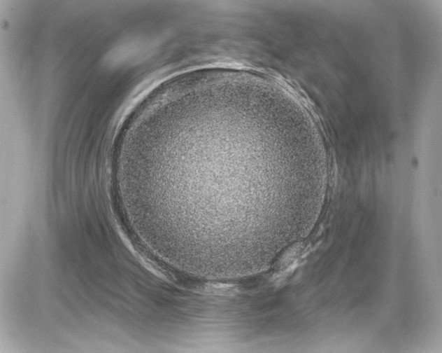 X0000081580055200701221038