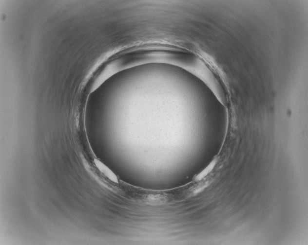 X0000081580060200701221038