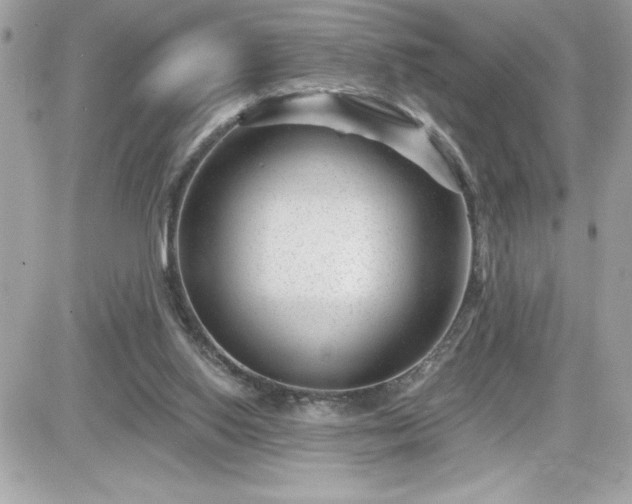 X0000081580062200701221038
