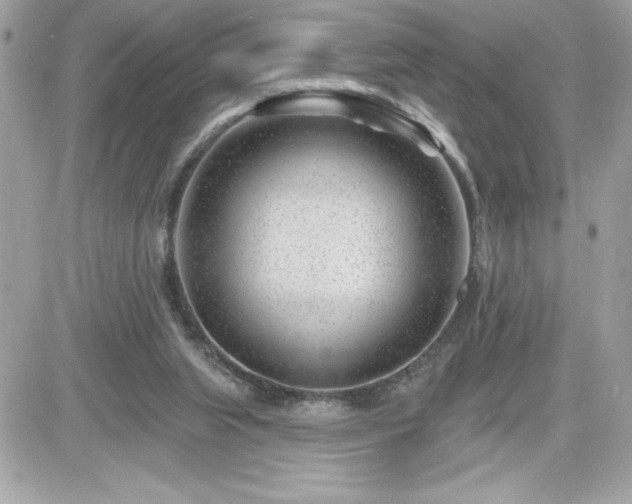 X0000081580063200701221038