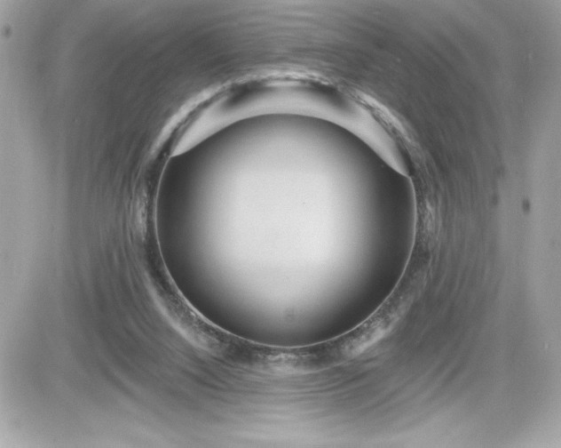X0000081580064200701221038